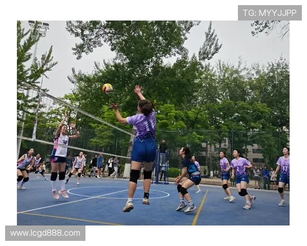 北京排球队反击战术解析与未来发展展望