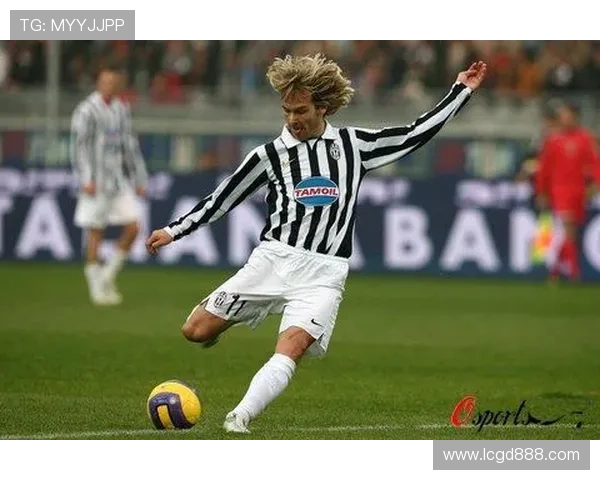 内德维德：从足球场上的传奇到生活中的榜样