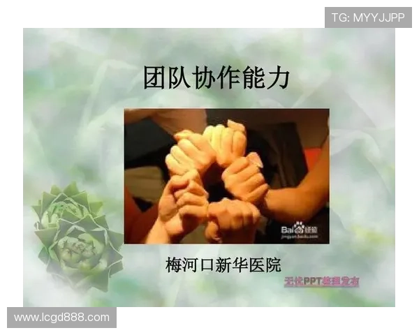 北京排球队灵活性探讨：提升战术应变能力与团队协作的关键因素